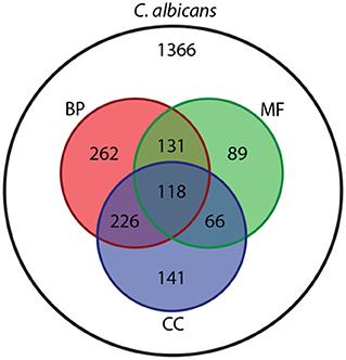 Identifying Candida albicans Gene Networks Involved in Pathogenicity